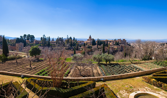 View of the gardens of the Alhambra of Granada, the main landmark of the city and one of the most famous monuments of Islamic architecture in the world (4 shots stitched)