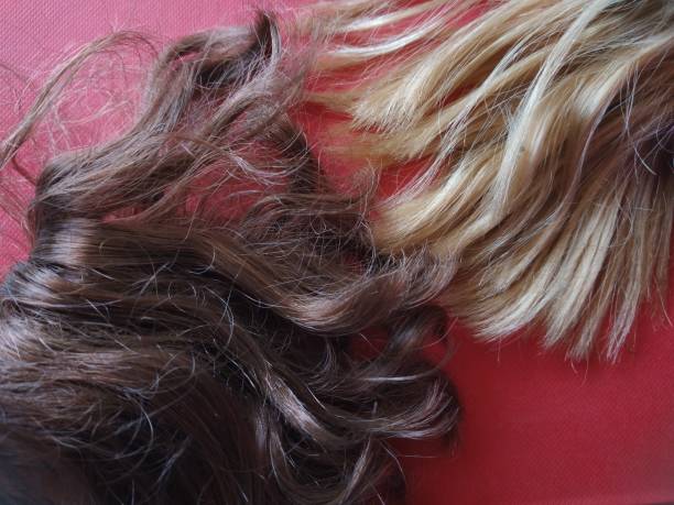 istock Brown and blond hairs 1916594763