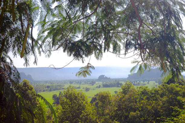Panorama of lansdscape seen through trees  around village Pharangmee in Phitsanulok province