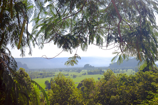 Panorama of lansdscape seen through trees  around village Pharangmee in Phitsanulok province