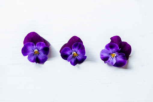 Viola flowers.