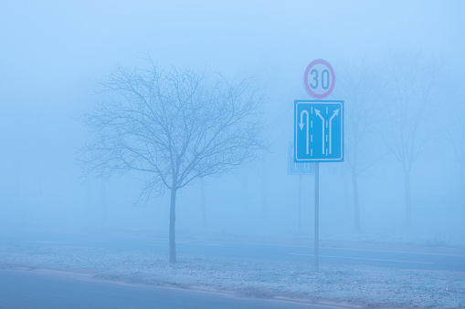 Traffic signs and lonely tree by the road in foggy winter morning, selective focus