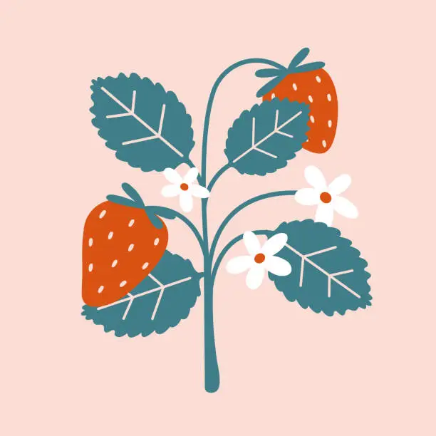 Vector illustration of Strawberry bush with berries, leaves, flowers in flat style. Summertime vector illustration for sticker, icon, card, banner, badge. Hand drawn clip art.