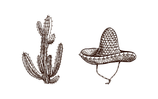 Hand-drawn sombrero and cactus sketches. Vintage drawing of hat. Vector black ink outline illustration. Mexican culture, clothes, Latin America.