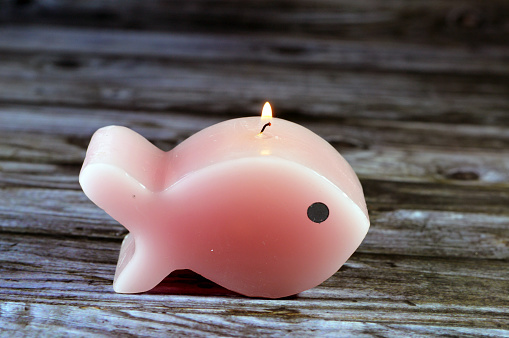 scented fish shaped candle, A candle is an ignitable wick embedded in wax, or another flammable solid substance such as tallow, that provides light with a fragrance, a chandler is who made the candles, selective focus