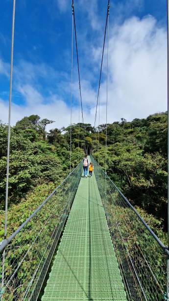 istock Hanging Bridges in Monteverde, Costa Rica 1916662410