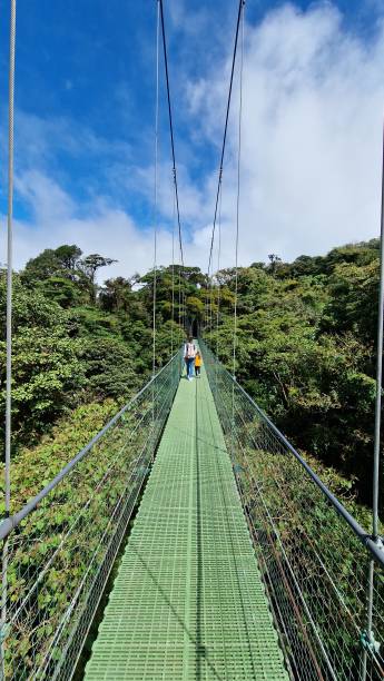 istock Hanging Bridges in Monteverde, Costa Rica 1916662600
