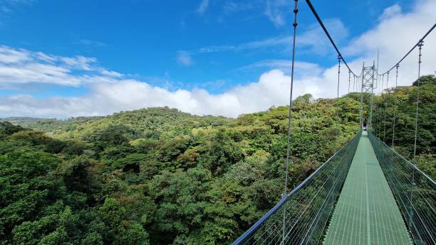 istock Hanging Bridges in Monteverde, Costa Rica 1916662918