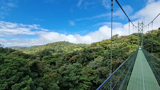 Nature's connections, hanging bridges in Monteverde, Costa Rica