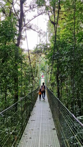 Hanging Bridges in Monteverde, Costa Rica