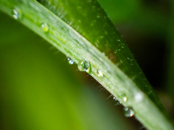 istock beauty of nature 1916670427