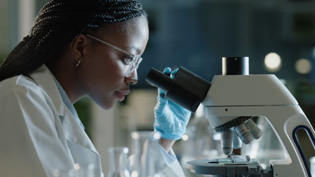 Medical, microscope and black woman in laboratory at night for analysis, research and science. Healthcare, pharmaceutical and scientist with equipment for sample, experiment and vaccine development
