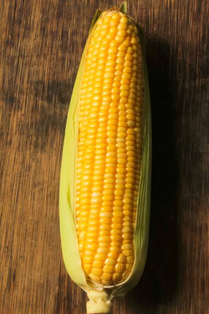 istock a sweet corn on a wooden table 1916688435