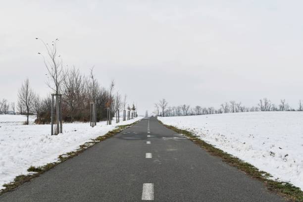 Road ploughed through by snow plough in winter. The concept of winter and winter road service stock photo