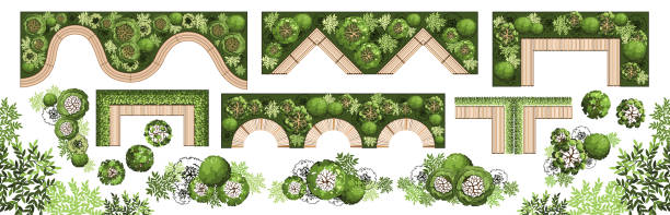 Tree Forest Entourage 570+ Top View Forest Floor Stock Illustrations, Royalty-Free Vector ...
