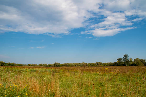 istock Sky with clouds over a summer field. Country landscape without people with empty space for text. 1916718235