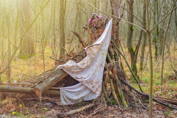 istock A primitive hut made of branches and rags in the park. 1916718249