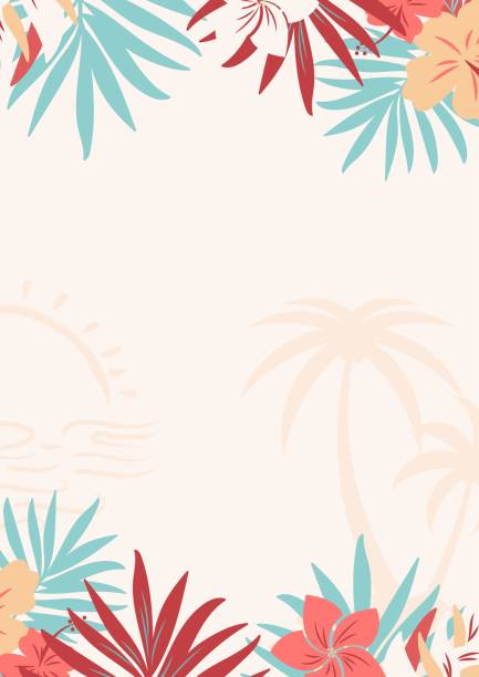 summer background, sea and beauty for products. - backgrounds color image directly above full frame stock illustrations