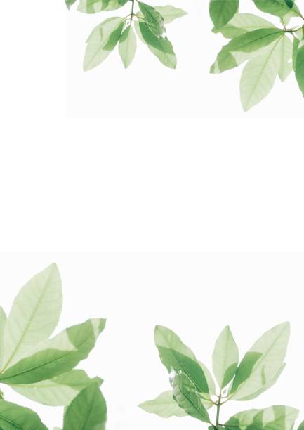 istock Summer background, sea and beauty for products. 1916731498