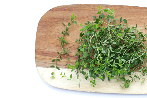 Fresh lemon thyme on white background.