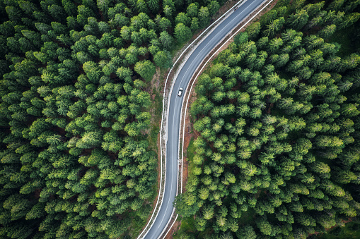 Car driving on Idyllic winding road through the green forest.