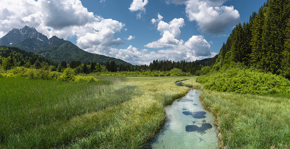 Idyllic mountain landscape with river (Zelenci natural reserve).