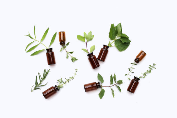 istock Fresh herbs with essential oil bottles on white background. 1916743764