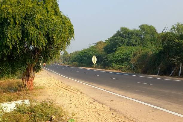 istock 24 Jan Road Trip A 83 1916753816