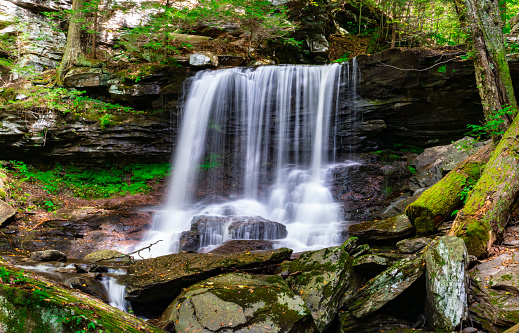 A scenic view of waterfall at Ricketts Glen State Park, Pennsylvania