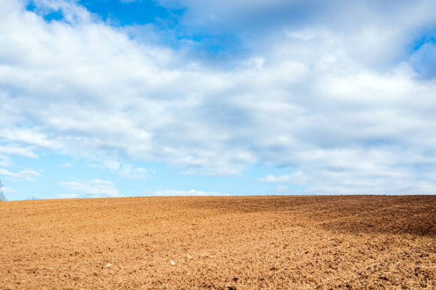 istock Plowed brown field and white clouds on blue sky.cloudy sky over brown field.Spring summer day. 1916825626