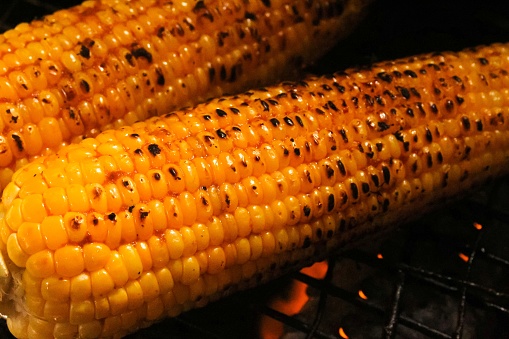 Fresh summer corn on the cob