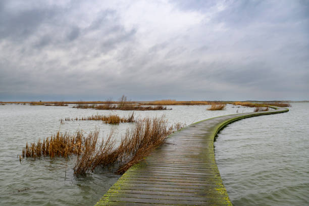 istock Marker Wadden nature reserve in the Makermeer 1916826964