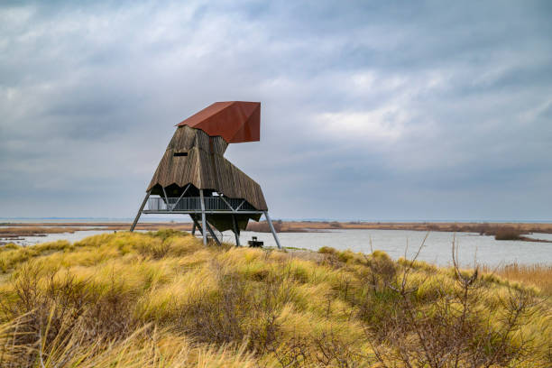 istock Marker Wadden nature reserve in the Makermeer 1916826969