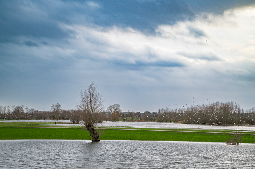 Flooded river IJssel between Deventer and Zutphen after heavy rainfall upstream in December 2023.