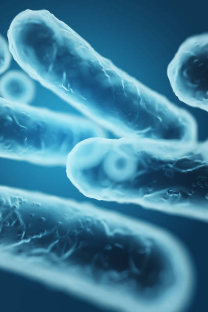 istock Enterobacteriaceae, gram-negative rod-shaped bacteria, part of intestinal microbiome and causative agents of different infections, 3D rendering. Escherichia coli, Klebsiella, Enterobacter and other 1916831939