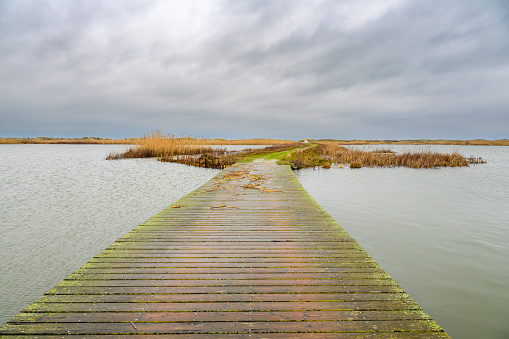 Marker Wadden nature reserve in the Makermeer during an overcast winter day. The Marker Wadden islands is an artificial archipelago under development to stimulate biodiversity in the Dutch Markermeer.