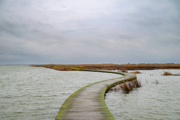 Wooden dock entering the sea. End of summer concept. Autumn wallpaper & background