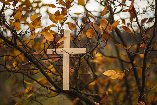 Close-up shot of wooden Christian cross on autumn tree without people