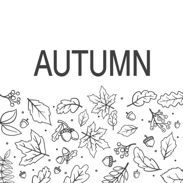 Vector illustration of Hand drawn autumn leaves doodles shaped. Falling leaves.Line art autumn leaves maple, oak,acorn.