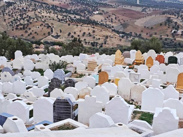 istock Muslim cemetery next to the Merinite tombs in Fez 1916862391