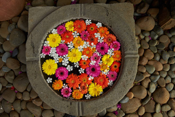 istock Flower pot with flowers 1916869291