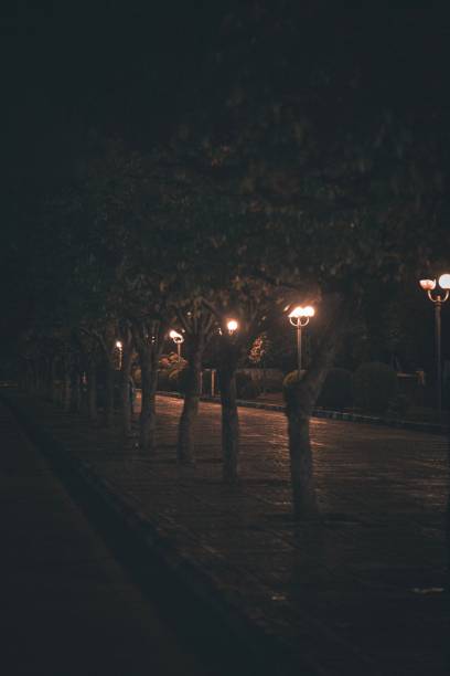 istock Street lights at night 1916877372