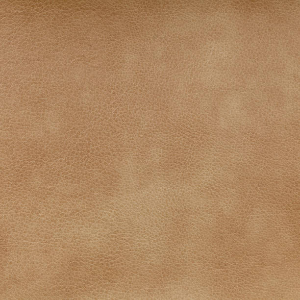 istock The texture of the leather is light brown with a textured finish 1916911545