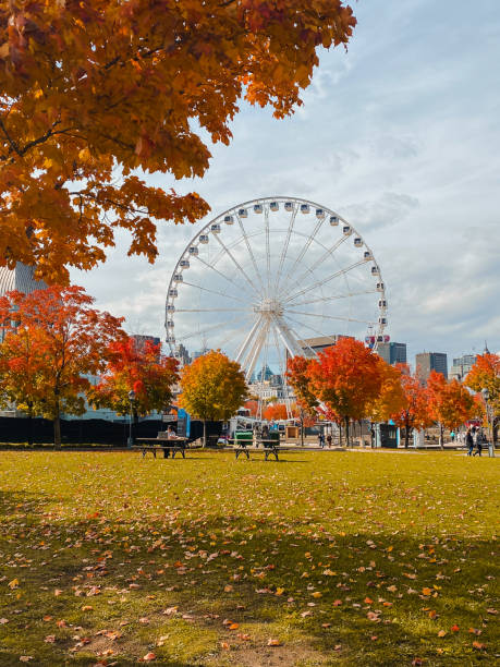 istock montreal ferris wheel and autumn leaves 1916922176