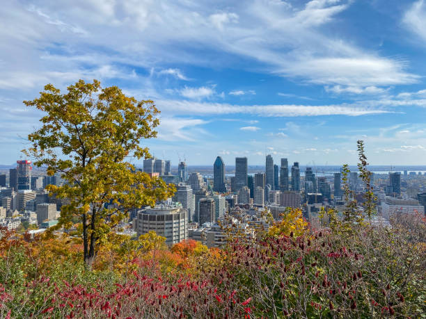 istock view of mont royal 1916922697