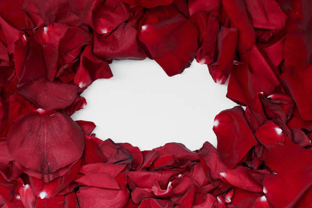 a frame of red rose petals with an empty white space in the middle