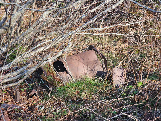 istock Oil Barrel in Woods 1916942322