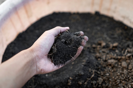 Hand holding rich organic soil for sustainable gardening.