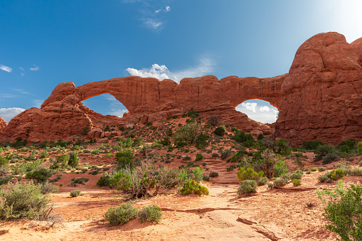 In Eastern Utah Arches National Monument Desert Photo Series (Shot with Canon 5DS 50.6mp photos professionally retouched - Lightroom / Photoshop - original size 5792 x 8688 downsampled as needed for clarity and select focus used for dramatic effect)