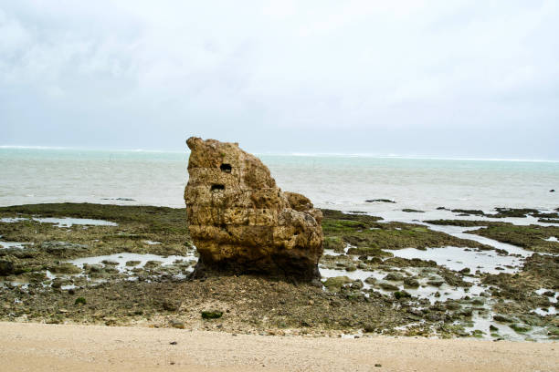 istock A Rock on rocky shore in Okinawa. 1917000407